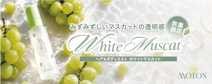 MOTON（モトン）
