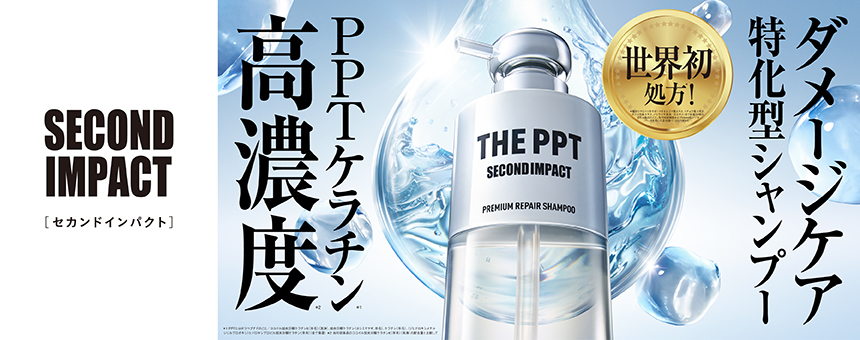 セカンドインパクト（SECOND IMPACT）