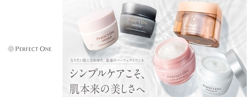 パーフェクトワン(PERFECT ONE)