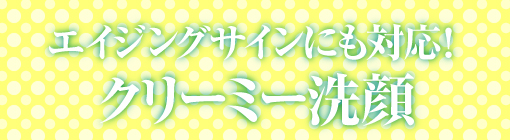 エイジングサインにも対応！クリーミー洗顔★クリーミー洗顔でエイジングケアをプラス