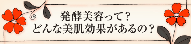 発酵美容って？どんな美肌効果があるの？