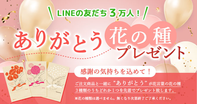 LINEの友だち３万人　花の種 プレゼント
