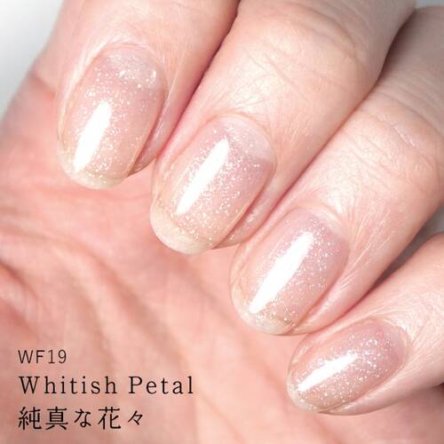 HOMEI　ウィークリージェル　WF19 Whitish Petalサブ画像2