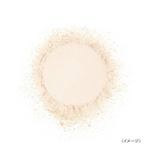 スキンガーディアン　ブラッシュオンUVパウダーサブ画像4