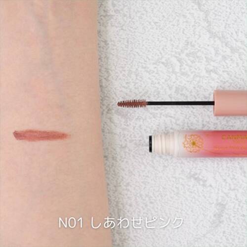 キャンメイク　スマートミニアイブロウカラー　N01 しあわせピンクサブ画像4