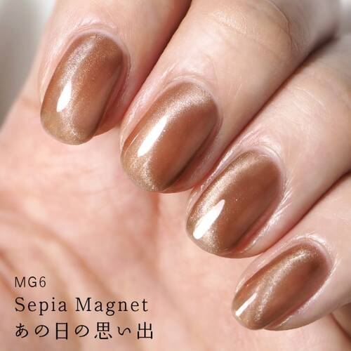 HOMEI　ウィークリージェル　MG6 Sepia Magnetサブ画像2