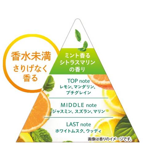 【限定】テックスメックス　ファブリックフレグランスミストＣＯＯＬ　01 シトラスマリンサブ画像2