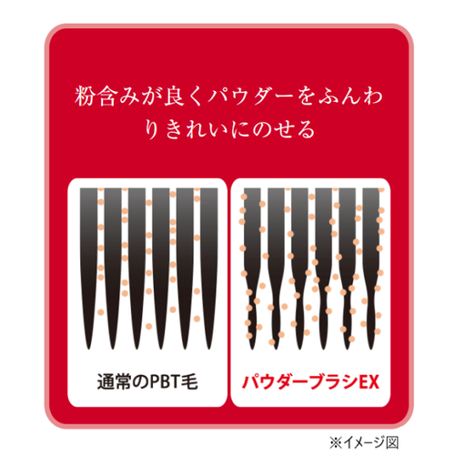 ◇【先行発売】ロージーローザ　パウダーブラシEX◆サブ画像7
