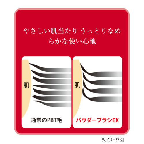 ◇【先行発売】ロージーローザ　パウダーブラシEX◆サブ画像8