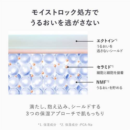アンプルール　ブライトAOローションNサブ画像3