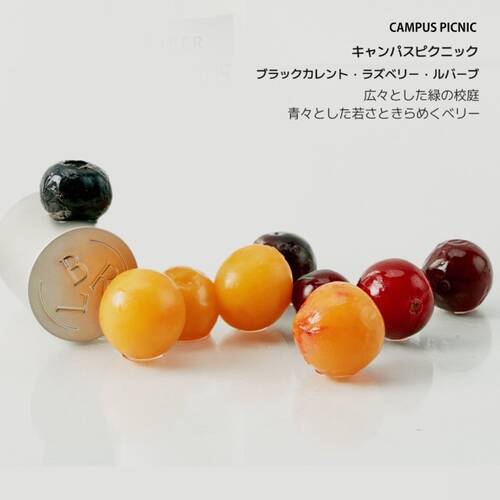 リベル　オードトワレ　キャンパスピクニックサブ画像1