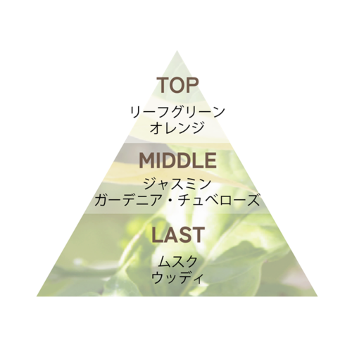 ルフォ　リッチヘア&ボディミスト　イランイランサブ画像1
