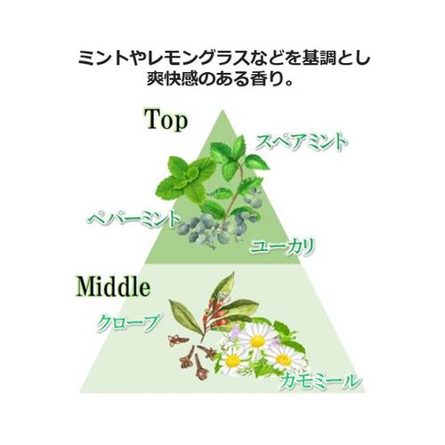 アメラック ズキリラローラー ハーブの香りの通販 メイクアップソリューション オンライン