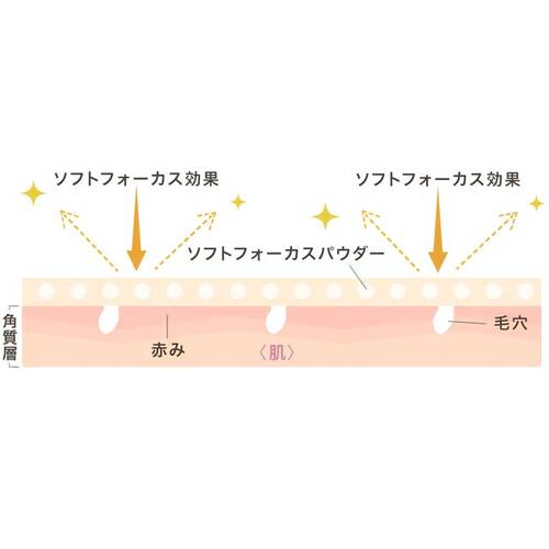 ゼロホール　ラボ　タッチアップUVパウダーブラッシュサブ画像3