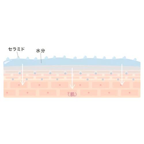 ゼロホール　ラボ　タッチアップUVパウダーブラッシュサブ画像5