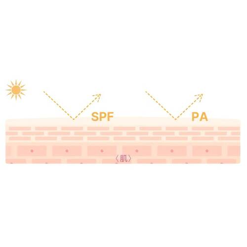 ゼロホール　ラボ　タッチアップUVパウダーブラッシュサブ画像6