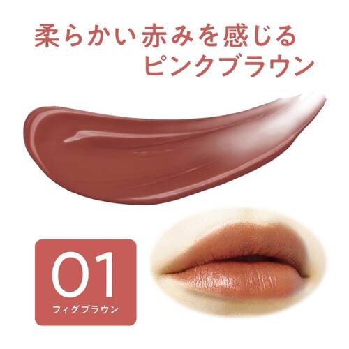 セザンヌ　リップカラーシールド　01 フィグブラウンサブ画像2