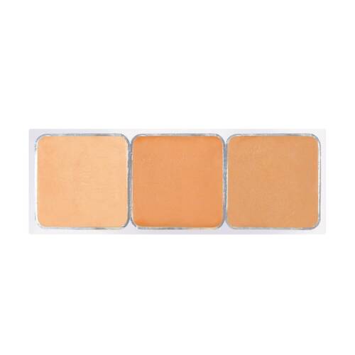 セザンヌ　パレットコンシーラー　ハイカバー　10 ベーシックトーンサブ画像1