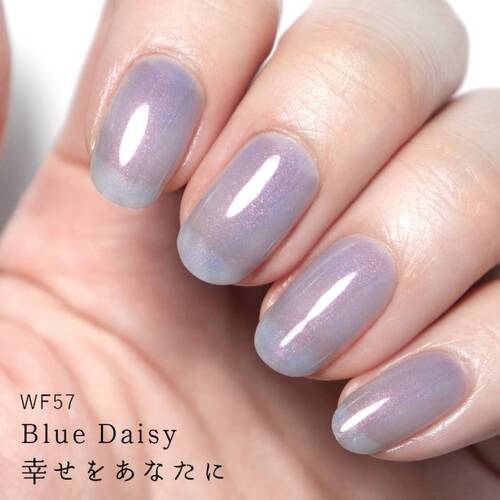 HOMEI　ウィークリージェル　WF57 Blue Daisyサブ画像2