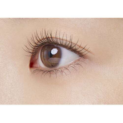 ◇【限定】エテュセ　マスカラベース　リッチ◆サブ画像3